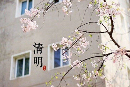 不同年份的清明節出生的生肖兔命局命理詳解！