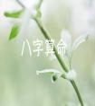 免費(fèi)算命八字算終身，終身運(yùn)勢(shì)解析