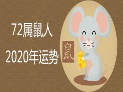 72屬鼠2020本命年運勢如何