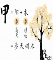 易經(jīng)風(fēng)水365 學(xué)完此文的十個字內(nèi)容，八字命局算命就可以輕松解讀出來了