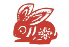 屬兔人的婚姻與命運(yùn)怎樣？