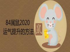 84屬鼠2020運(yùn)氣提升的方法有哪些