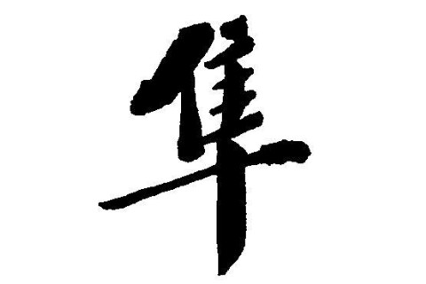隼字五行屬性和含義