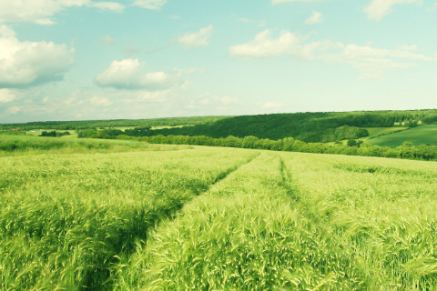 夢見別人死了是什么意思?