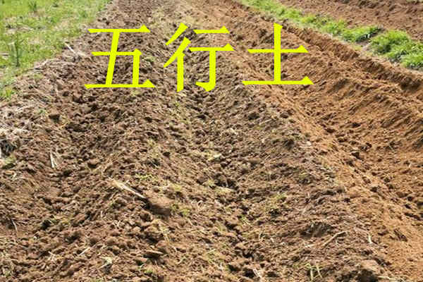 八字中的五行土該如何理解