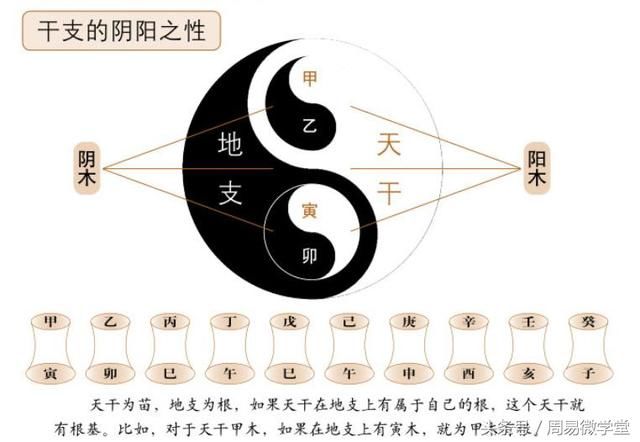 八字天干地支哪個重要_八字和大運誰更重要_八字哪個最重要