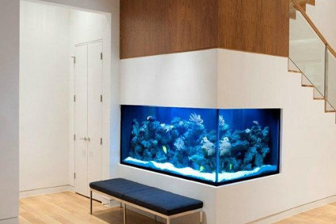 魚缸正對入戶門好不好？