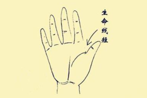 怎么通過手紋看健康？