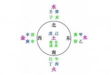 十二地支解析
