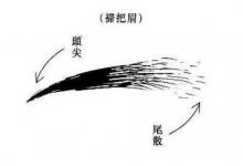 什么是掃把眉？