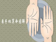 看手相算命圖解詳細(xì)介紹