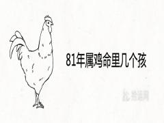 81年屬雞命里幾個(gè)孩一生子女運(yùn)勢如何