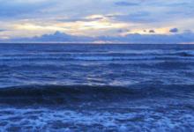 處女座2021年桃花運勢如何？