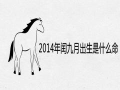 2014年閏九月出生是什么命