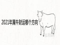 2021年屬牛財(cái)運(yùn)哪個(gè)方向