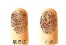 手指上的斗和簸箕代表什么意思？
