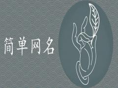 女生網名簡單干凈二字最潮推薦