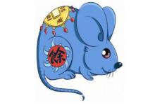 2008年屬鼠人2022年運勢及運程 14歲屬鼠人每月運勢解析