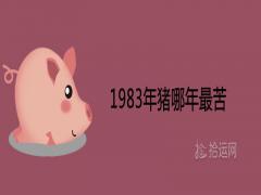 1983年豬哪年最苦災難年齡查詢