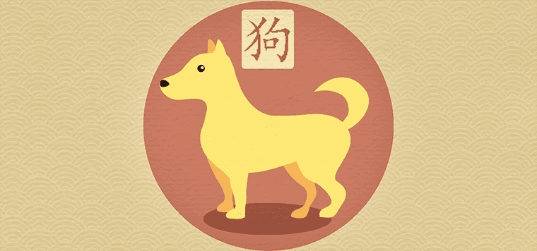 個(gè)性寵物名字排行榜