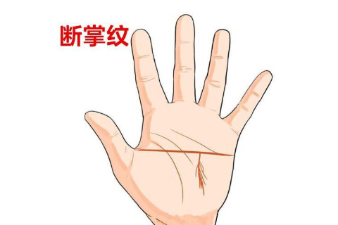 女人左手斷掌手相分析