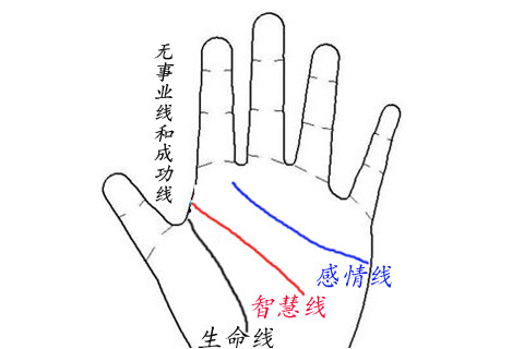 手上沒有成功線代表了什么？