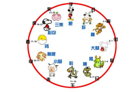 十二時辰生肖對照表
