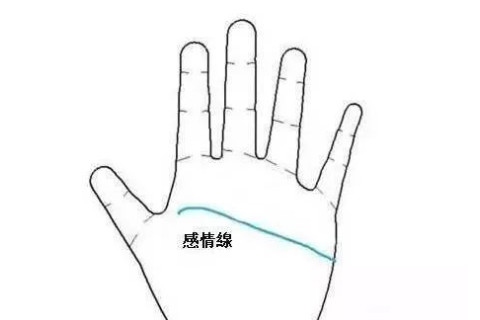 成功線比感情線短表示什么？