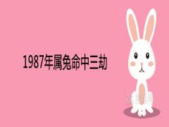 1987年屬兔命中三劫是什么出現在哪一年