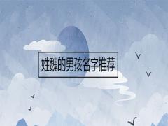 姓魏的男孩名字推薦