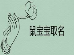2020鼠寶寶取名字哪些寓意吉利富貴