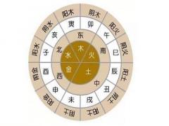 四柱免費(fèi)排盤詳細(xì)預(yù)測(cè)，四柱和八字是什么關(guān)系？