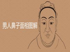 男人鼻子面相圖解大全什么樣的鼻型優秀命富貴