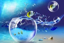 五行屬水最吉利的名字