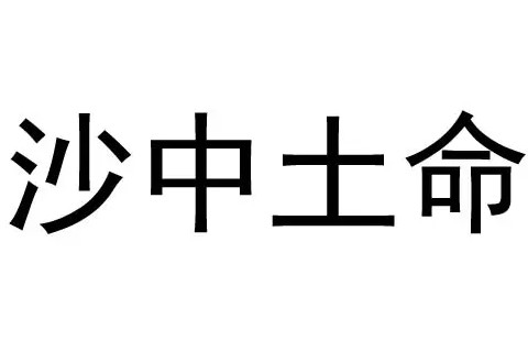 沙中土命和什么命的人相配最好？