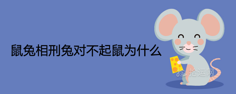 鼠兔相刑兔對不起鼠為什么