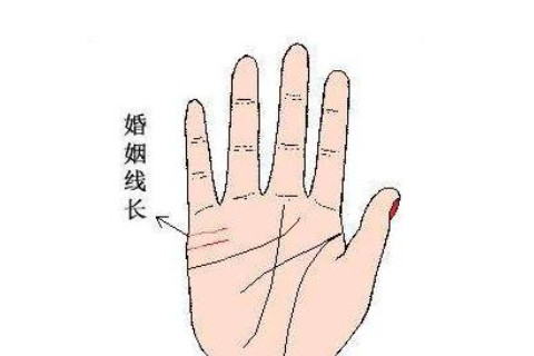 從手相分析婚姻運勢