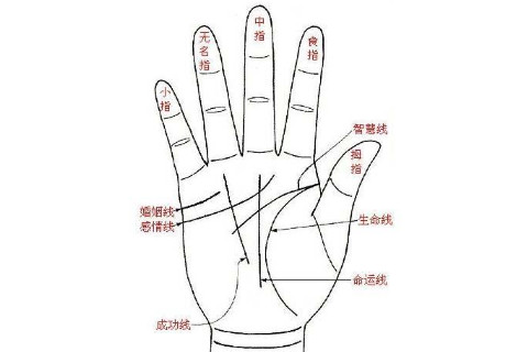 情路坎坷的女人手相