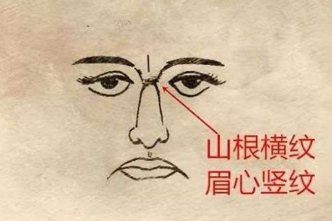 眉心皺紋的人事業分析