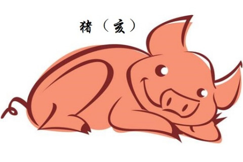 生肖豬生于哪年？