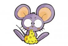 生肖鼠生于哪年?