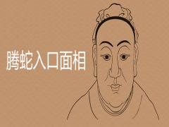 騰蛇入口面相參考圖片詳細(xì)解析