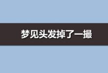 夢見頭發(fā)掉了一撮