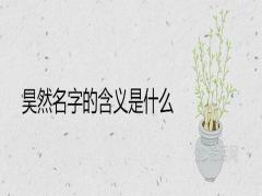 昊然名字的含義是什么鼠年男孩取名吉利推薦