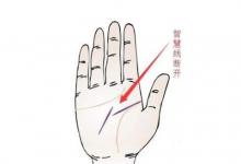智慧線中間分叉代表了什么？
