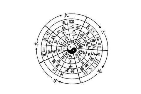 戌時五行屬什么？