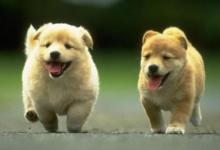 取名字方法大全