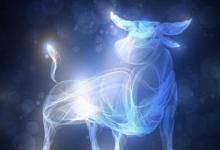 誰(shuí)才是金牛座的最為適當(dāng)伴侶 三觀一致理念契合