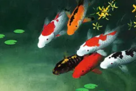 夢見魚有什么寓意 吉祥富貴財運滾滾