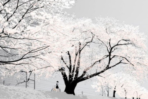 夢見下雪預示著什么 生活富足財運豐厚